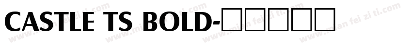 CASTLE TS BOLD字体转换